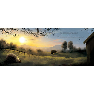 hover image