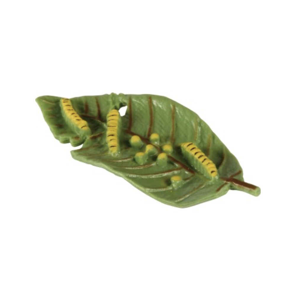 Le Cycle De Vie d'un Papillon - Wooden Educational Material