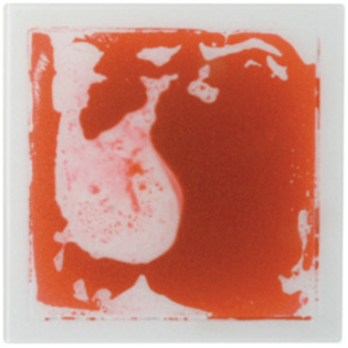 Plaque sensori-motrice - Rouge