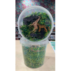 Mélange sensoriel - "jungle " - 1L