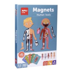 Apli Kids – Les magnets du corps humain