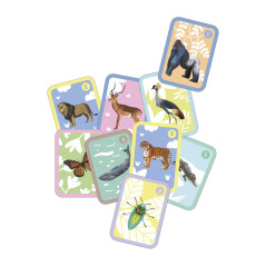 Cartes à jouer Apli - Families