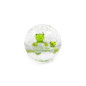 Grenouilles à Bulles - vert - Petit Boum