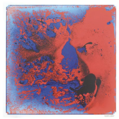 Plaque sensori-motrice - Rouge/bleu