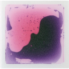 Petites plaques sensori-motrices - mauve