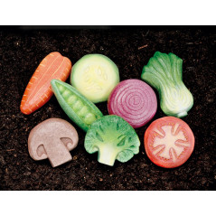 Légumes – Pierres sensorielles - 8 pièces