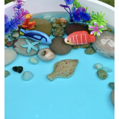 Poissons – Pierres sensorielles - 8 pièces