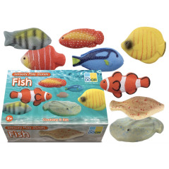 Poissons – Pierres sensorielles - 8 pièces