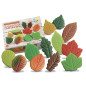 Feuilles – Pierres de jeu sensoriel 12 pièces