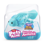 Axolotls nageurs Pets Alive (modèle aléatoire)
