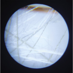 EXPLORATION - MICROSCOPE