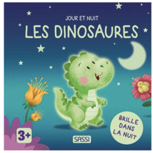 Jour Et Nuit - : Jour et nuit - Les dinosaures - Album Sassi