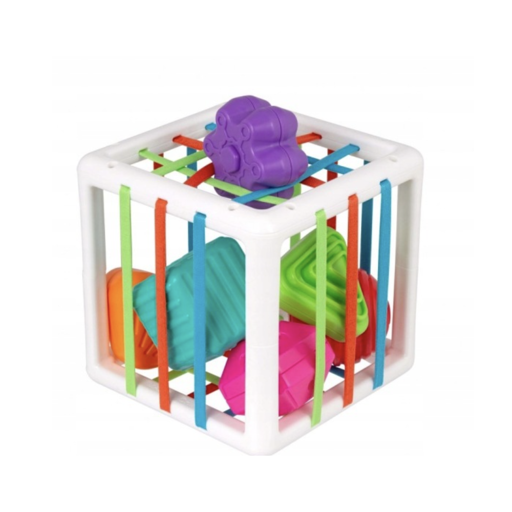 Playgro – First Fun Shape Sorter – Boîte à formes sensorielle