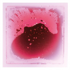 Plaque sensori-motrice - Rose