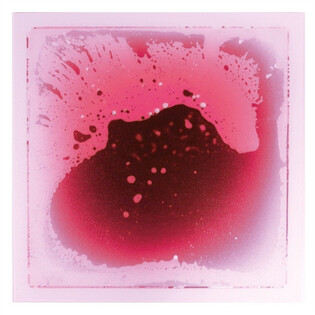 Plaque sensori-motrice - Rose